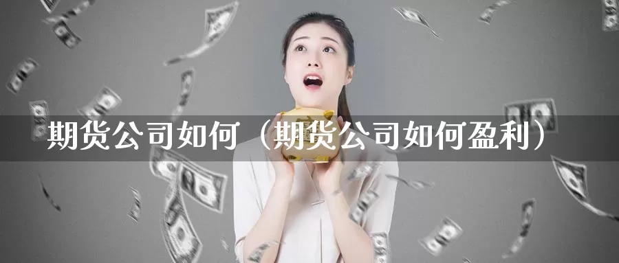 期货公司如何（期货公司如何盈利）_https://www.s0455.com_国际期货直播室_第1张